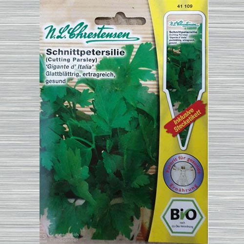 Pătrunjel de frunze Gigante d'Italia bio imagine 1 articol 69032