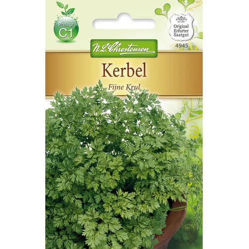 Pătrunjel franțuzesc Fijne Krul imagine 1 articol 78854