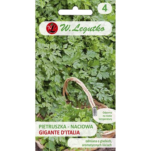 Pătrunjel Gigante d'Italia imagine 1 articol 69513