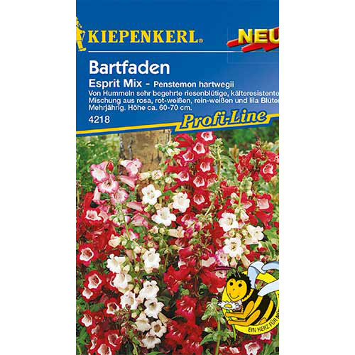 Penstemon Esprit Kiepenkerl imagine 1 articol 86249