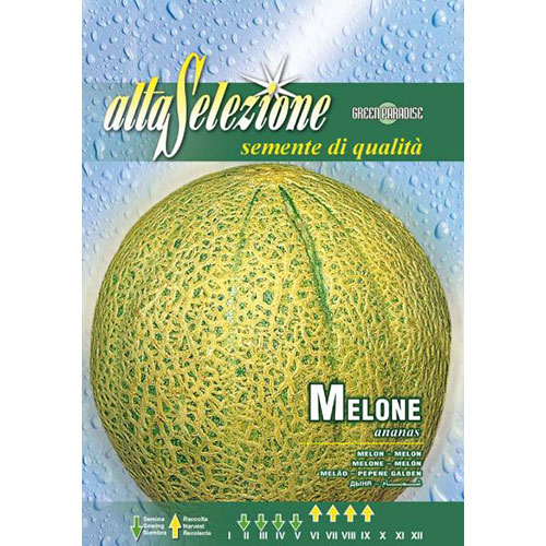 Pepene galben Ananas articol fotografie 1 Pepene galben Ananas imagine 1 articol 87160