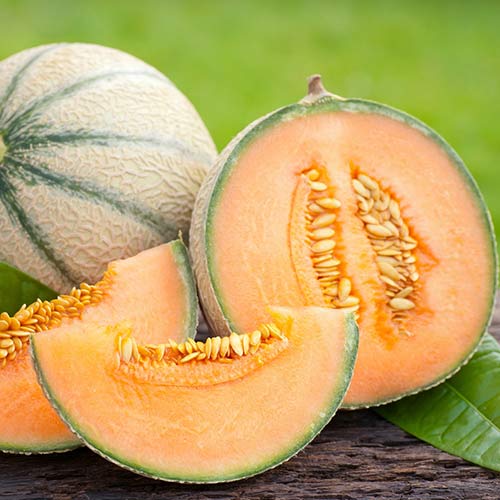 Pepene Malaga F1 imagine 1 articol 66695