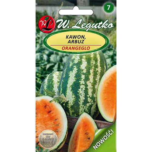 Pepene Orangeglo articol fotografie 1 Pepene Orangeglo imagine 1 articol 96824