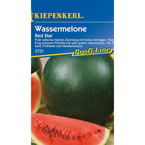 Pepene Red Star F1 Kiepenkerl articol fotografie 1 Pepene Red Star F1 Kiepenkerl imagine 1 articol 77485