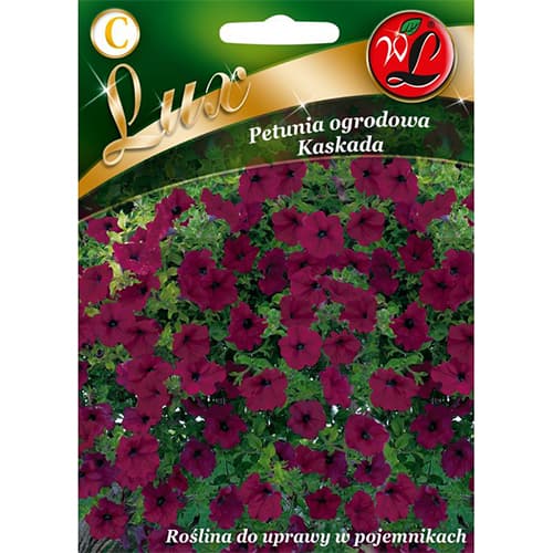 Petunie Kaskada violet imagine 1 articol 78673