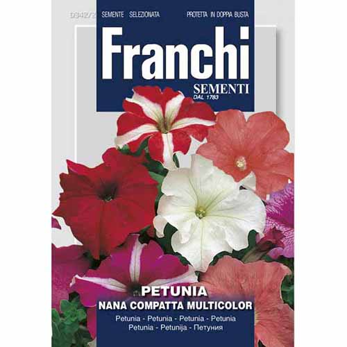 Petunie pitică compactă, mix multicolor imagine 1 articol 96365