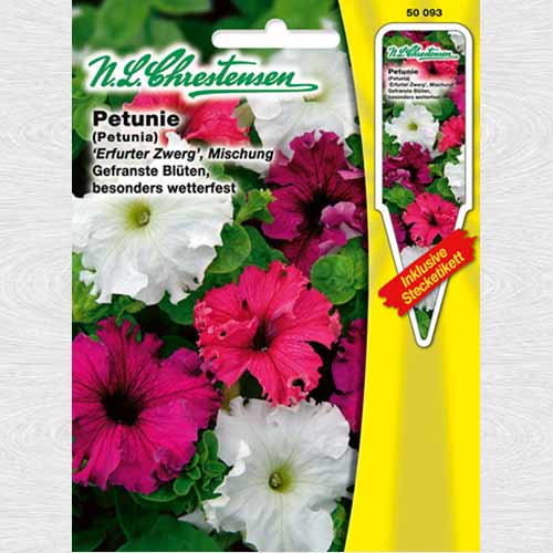 Petunie pitică, mix multicolor imagine 1 articol 69356