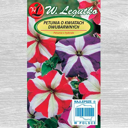 Petunie Star F2, mix multicolor articol fotografie 1 Petunie Star F2, mix multicolor imagine 1 articol 69623