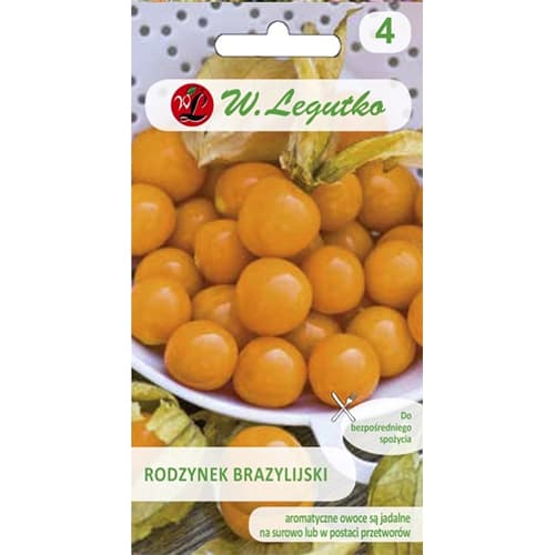 Physalis (Cireșe de pământ) articol fotografie 1 Physalis (Cireșe de pământ) imagine 1 articol 96811