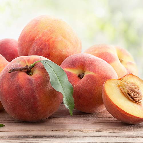 Piersic Suzee 699 imagine 1 articol 4304