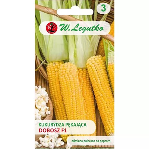 Porumb de popcorn Dobosz F1 articol fotografie 1 Porumb de popcorn Dobosz F1 imagine 1 articol 78481