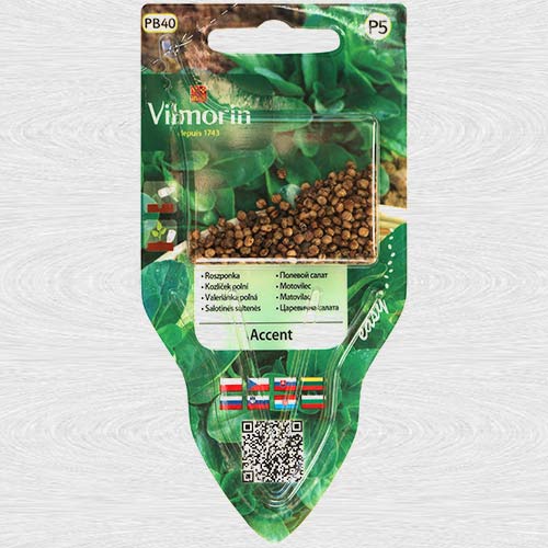 Porumb de salata Accent articol fotografie 1 Porumb de salata Accent imagine 1 articol 69739