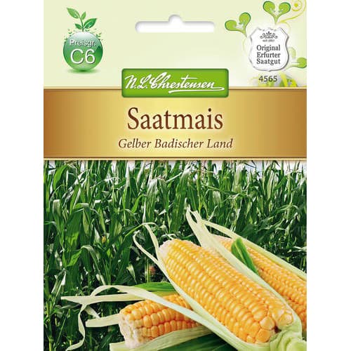 Porumb furajer Yellow Baden country imagine 1 articol 78883