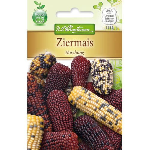 Porumb ornamental, mix multicolor imagine 1 articol 78981