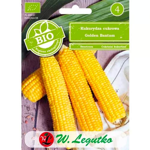 Porumb zaharat Golden Bantam Legutko imagine 1 articol 50131