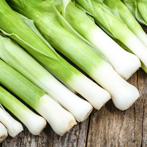 Praz Elefant Kiepenkerl imagine 1 articol 50020