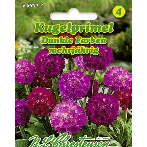 Primula Dark Colors, mix multicolor Chrestensen imagine 1 articol 86182