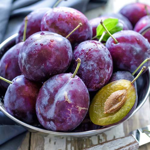 Prun Vânăt de Italia imagine 1 articol 8671