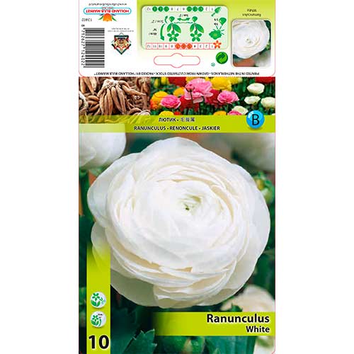 Ranunculus White imagine 1 articol 76360