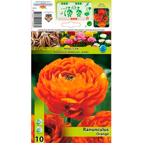 Ranunculus Orange imagine 1 articol 76357