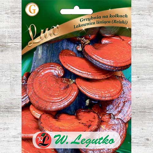 Reishi imagine 1 articol 86702