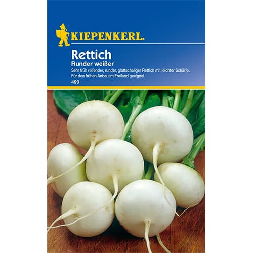 Ridiche albă Runder Weisser articol fotografie 1 Ridiche albă Runder Weisser imagine 1 articol 87290