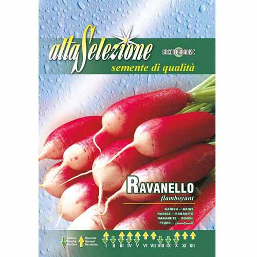 Ridiche de lună Flamboyant imagine 1 articol 96394