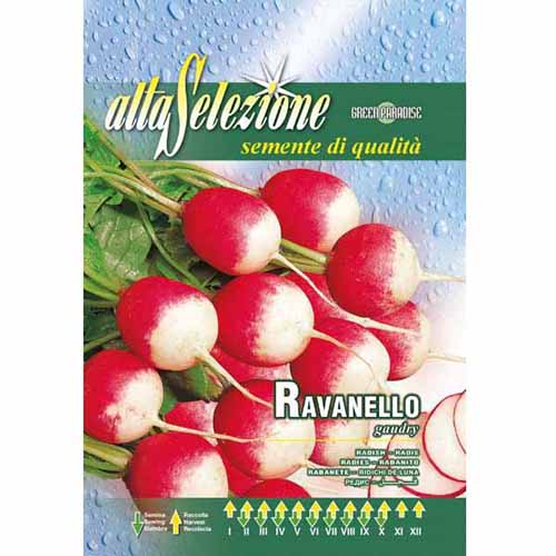 Ridiche de lună Gaudry imagine 1 articol 96395