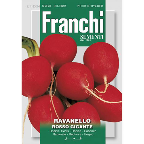 Ridiche de lună Rosso Gigante articol fotografie 1 Ridiche de lună Rosso Gigante imagine 1 articol 87167