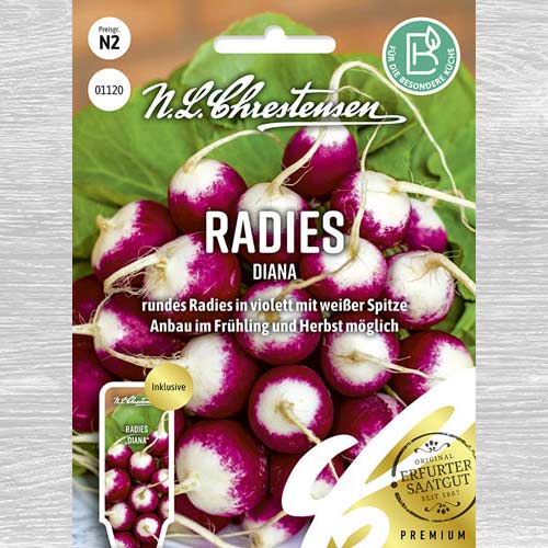 Ridiche Diana imagine 1 articol 86086