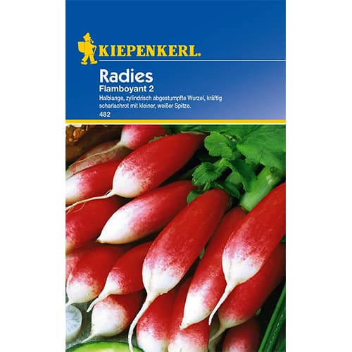 Ridiche Flamboyant 2 articol fotografie 1 Ridiche Flamboyant 2 imagine 1 articol 96650