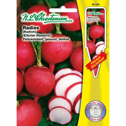 Ridiche gigant Erfurt imagine 1 articol 69155