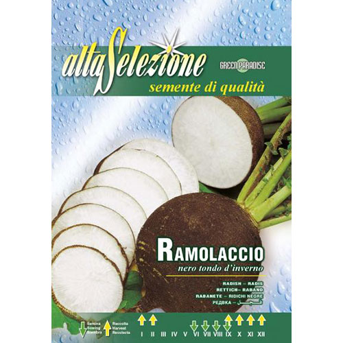 Ridiche neagră Nero Tondo D'Inverno imagine 1 articol 87169