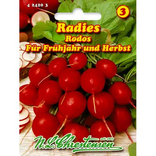 Ridiche Rodos Chrestensen articol fotografie 1 Ridiche Rodos Chrestensen imagine 1 articol 50054