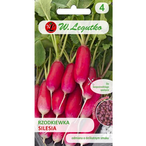 Ridiche Silesia roşu Legutko imagine 1 articol 50140