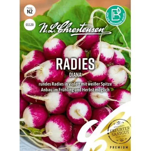 Ridiche Sora imagine 1 articol 86088