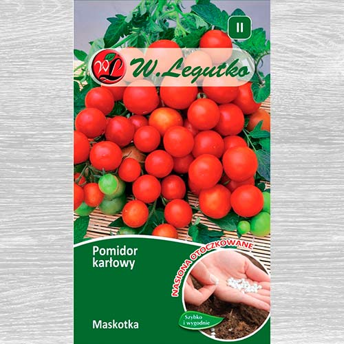 Roșie Mascota articol fotografie 1 Roșie Mascota imagine 1 articol 69439