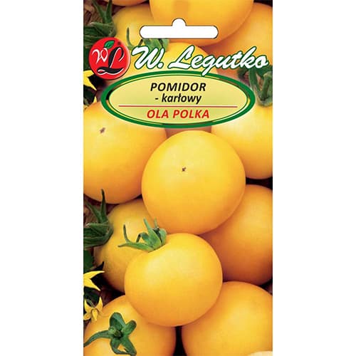 Roșie Ola Polka imagine 1 articol 69516