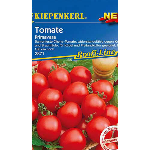 Roșie Primavera Kiepenkerl articol fotografie 1 Roșie Primavera Kiepenkerl imagine 1 articol 86415