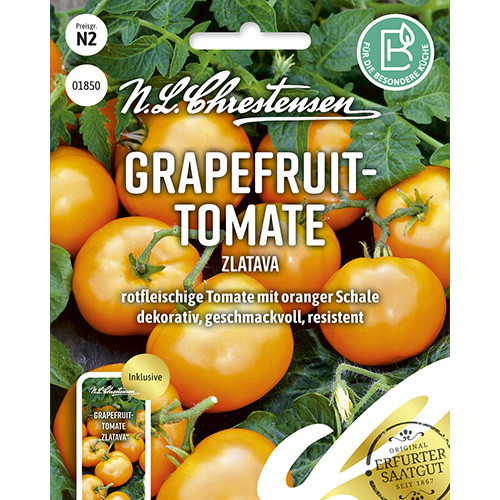 Roșie Zlatava Chrestensen imagine 1 articol 86045