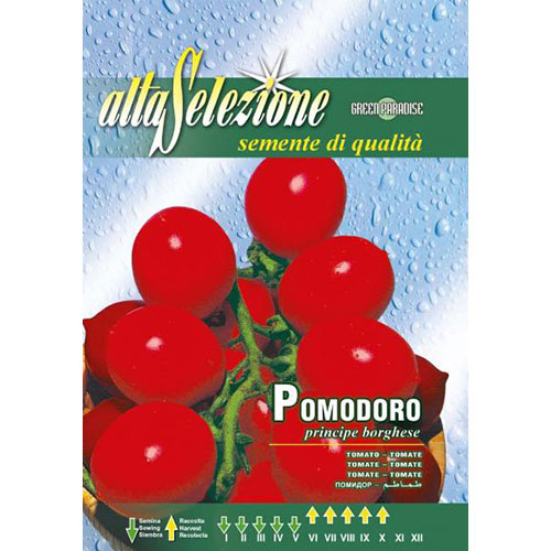 Roșie Principe Borghese articol fotografie 1 Roșie Principe Borghese imagine 1 articol 87184