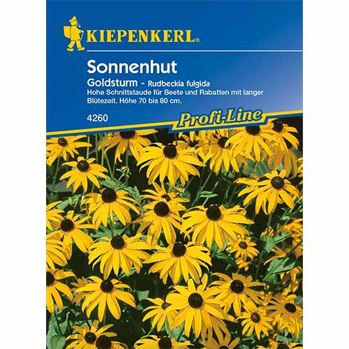Rudbeckia (Bulgări de soare) Goldsturm imagine 1 articol 96583