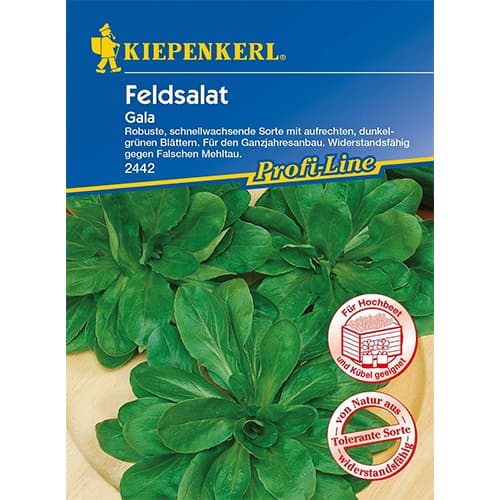 Salată de câmp (fetică) Gala imagine 1 articol 86450