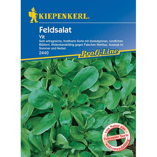 Salată de câmp (Fetică) Vit imagine 1 articol 77495