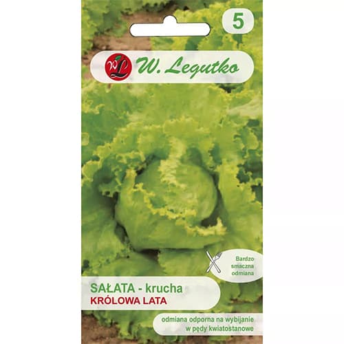 Salată de capătână Krolowa Lata imagine 1 articol 78499