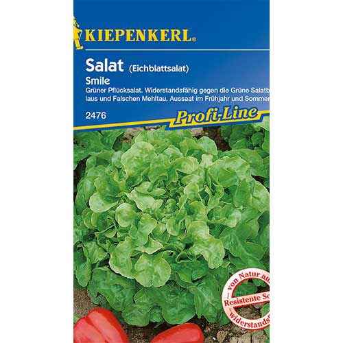 Salată de frunze Smile Kiepenkerl articol fotografie 1 Salată de frunze Smile Kiepenkerl imagine 1 articol 86441