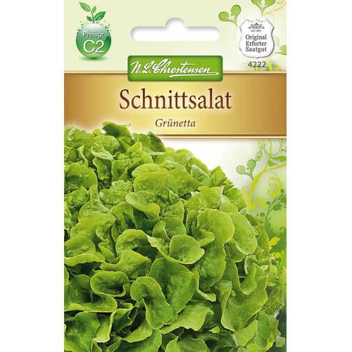 Salată Grunetta articol fotografie 1 Salată Grunetta imagine 1 articol 78780
