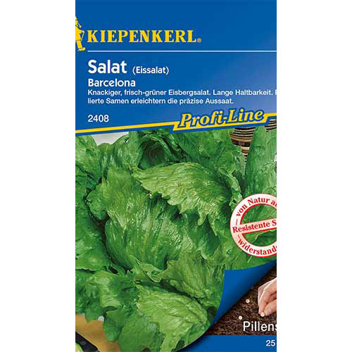 Salată iceberg Barcelona Kiepenkerl articol fotografie 1 Salată iceberg Barcelona Kiepenkerl imagine 1 articol 86446