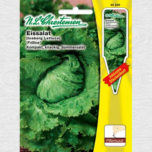 Salată iceberg Frillice articol fotografie 1 Salată iceberg Frillice imagine 1 articol 69067