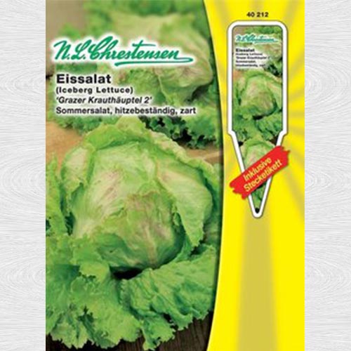 Salată iceberg Grazer Krauthäuptel articol fotografie 1 Salată iceberg Grazer Krauthäuptel imagine 1 articol 69069